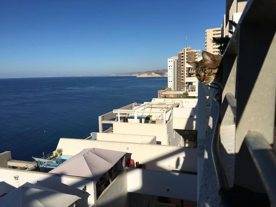 Piso En La Primera Linea Del Mar Con 2 Dormitorios Benidorm Zewnętrze zdjęcie